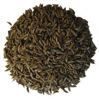 Rasca celá