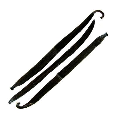 Vanilka struk 15-17cm Madagaskar